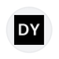Dustin Yellin logo - Similar company to Risen Division