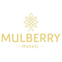 Hotel Mulberry Mint Calangute logo - Similar company to Optmize Holidays