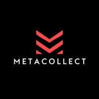 MetaCollect.app logo - Similar company to Professional Troublemaker