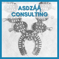 Asdzą́ą́ Consulting logo - Similar company to Sigmapro - Business Transformation Specialists