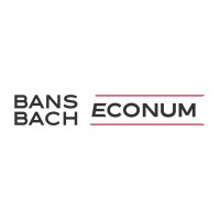 BANSBACH ECONUM Unternehmensberatung logo - Similar company to Esrs Services