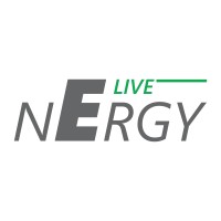 Nergy Live Solutions LLC logo - Similar company to Stat Consultancy