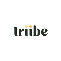 triibe logo - Similar company to Ballion