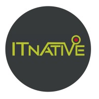 IT-Native logo - Similar company to Haintz It-Solutions