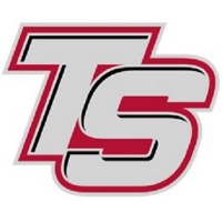 TS Group of Companies logo - Similar company to Ts Holding