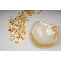 MAKAMAGA SRL logo - Similar company to Coderoni Rappresentanze Srl