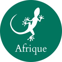 Mongabay Afrique logo - Similar company to Tasfia