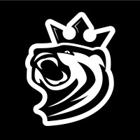 KiekkoKingi Oy logo - Similar company to Autoexplore Oy