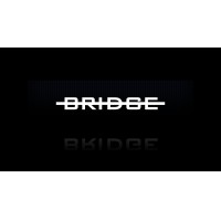 BRIDGE IP logo - Similar company to Beid Consulting Services (Bcs)