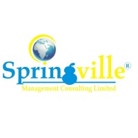 Springville Management Consulting Ltd logo - Similar company to Three Point Consulting