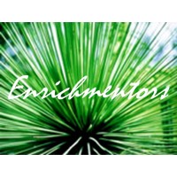 Enrichmentors logo - Similar company to 1Fi