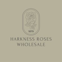 Harkness Roses Wholesale