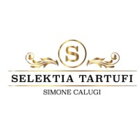 SELEKTIA ITALIA SRL logo - Similar company to Dea Flores