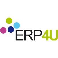 ERP4U logo - Similar company to Nsl Info