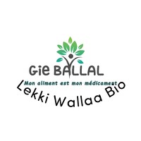 Gie Ballal logo - Similar company to Gie Mourchid