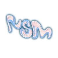 NO SLEEP MNGMNT logo - Similar company to Sonic Acts
