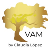 VAM volver a mi logo - Similar company to Spir[It]