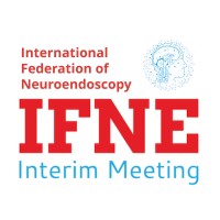 International Federation of Neuroendoscopy Interim Meeting logo - Similar company to Wise Owl Events