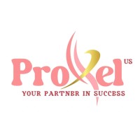 Proxel logo - Similar company to Proxel Solutions