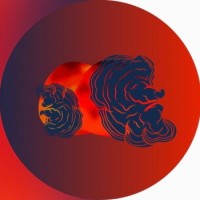 PILAS logo - Similar company to Holon Labs Foundation