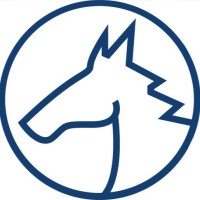 Pégaso UFPR logo - Similar company to Head Xperience