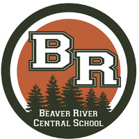 Beaver River Central School logo - Similar company to Lowville Academy