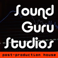 Sound Guru Studios logo - Similar company to Sound Pitch