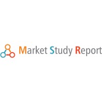 Market Study Report logo - Similar company to Dimat