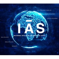 Intelli Africa Solutions logo - Similar company to Niftyline