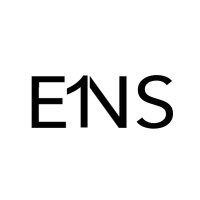 Eins Development Consulting logo - Similar company to Clarity Development Advisory
