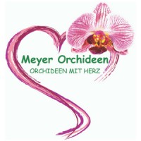 Meyer Orchideen AG - Schweizer Orchideen Experten logo - Similar company to Florist.Ch