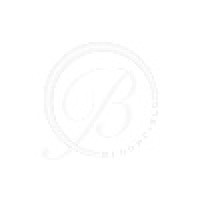 Bloomfield Center Alliance Inc logo - Similar company to American Modular Power Transmission Distribution