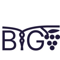 Beyond the Grapevine logo - Similar company to Imperial Lubes & Supply, Llc