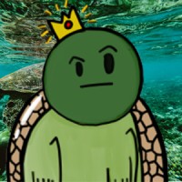 Turtle Topia logo - Similar company to Arms Restore