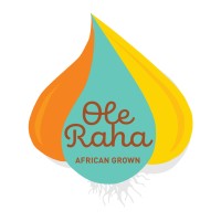Ole Raha logo - Similar company to Wise Consulting