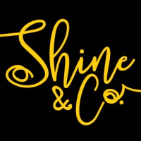 Shine&Co - Brand Illumination logo - Similar company to Saint Patrick Academy