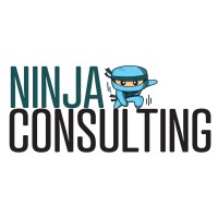 Ninja Consulting logo - Similar company to Ninja Consulting