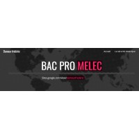 Lycee Newton - Bac Pro Melec logo - Similar company to Ecole Postbac