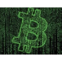 True Crypto logo - Similar company to Crypto Kids Camp