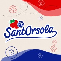 Sant'Orsola Sca logo - Similar company to Tev - Technologies Of Vision @Fbk