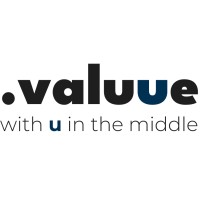 Valuue Agency logo - Similar company to Hipix S.R.L.