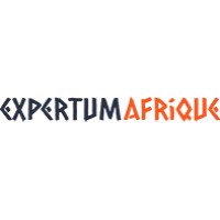 Cabinet Expertum Afrique SARL logo - Similar company to Excellence Africa