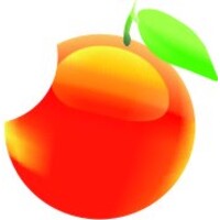 Black Orange Entertainment Pvt. Ltd.
