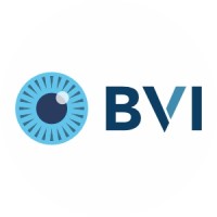 BVI Iberia logo - Similar company to Oftaltech Solutions