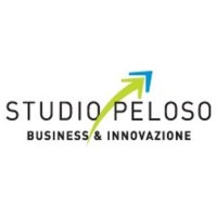 Studio Peloso & Associati logo - Similar company to Meraki Srl