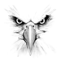 TAF CAPITAL PTY LTD logo - Similar company to Jellyc - Digital Asset Management