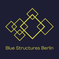 Blue Structures Berlin logo - Similar company to Witelo E.V.