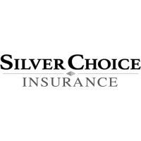 SilverChoice logo - Similar company to Intersection Le Lab