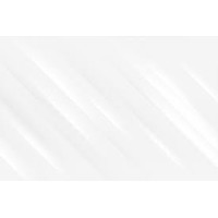 Mercury Group Of Companies Inc.