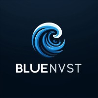 BLUE INVEST CAPITAL logo - Similar company to Bits Dmcc